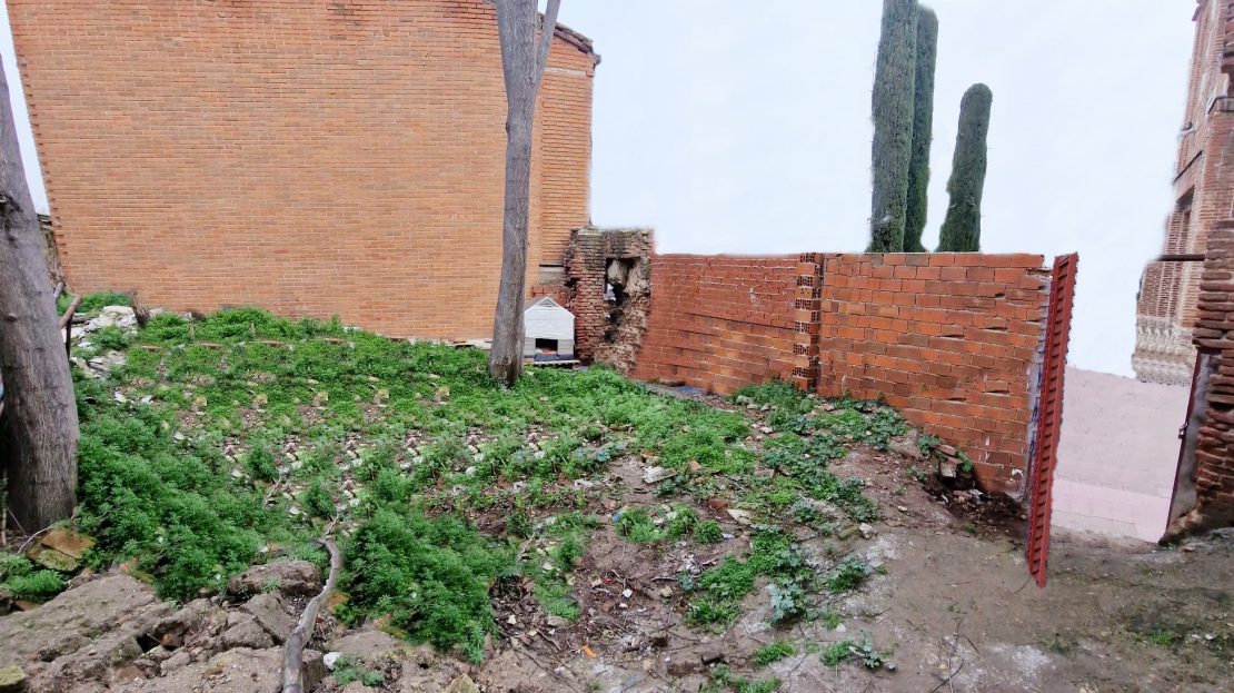 video image